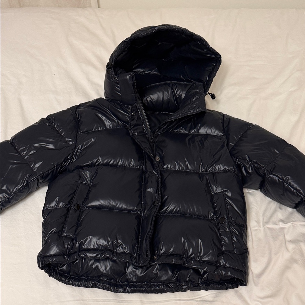 Quince Down Cropped Puffer Jacket (Shiny Black)
